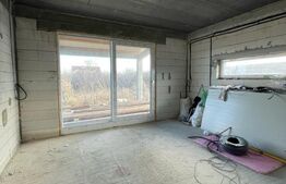 Casa P+1, 209 mpu, 480 mp teren, zona Carcea