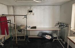 Casa pretabila activități comerciale, 110 mp, zona străzii Dezrobirii