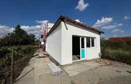 Casa P + 1 de 100 mp utili, cu 300 mp teren in zona Preajba sat