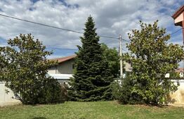 Casă S + P + M de 333 mp utili, cu 2.040 mp teren, front 26 m, Catargiu