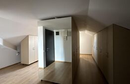 Casă S + P + M de 333 mp utili, cu 2.040 mp teren, front 26 m, Catargiu