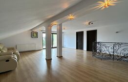 Casă S + P + M de 333 mp utili, cu 2.040 mp teren, front 26 m, Catargiu