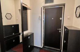 Apartament 2 camere, mobilat si utilat modern, Calea Bucuresti