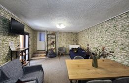 Casă renovată ideală pentru firme, 8 camere și 6 băi, 684 mp teren, Bucovăț