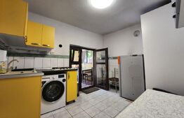 Casă renovată ideală pentru firme, 8 camere și 6 băi, 684 mp teren, Bucovăț