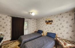 Casă renovată ideală pentru firme, 8 camere și 6 băi, 684 mp teren, Bucovăț