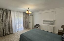 Casă renovată ideală pentru firme, 8 camere și 6 băi, 684 mp teren, Bucovăț
