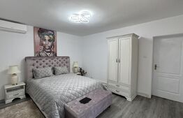 Casă renovată ideală pentru firme, 8 camere și 6 băi, 684 mp teren, Bucovăț