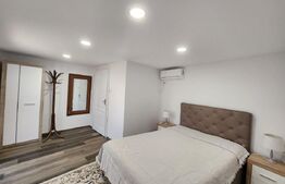 Casă renovată ideală pentru firme, 8 camere și 6 băi, 684 mp teren, Bucovăț