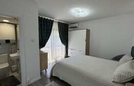 Casă renovată ideală pentru firme, 8 camere și 6 băi, 684 mp teren, Bucovăț