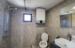 Casă renovată ideală pentru firme, 8 camere și 6 băi, 684 mp teren, Bucovăț