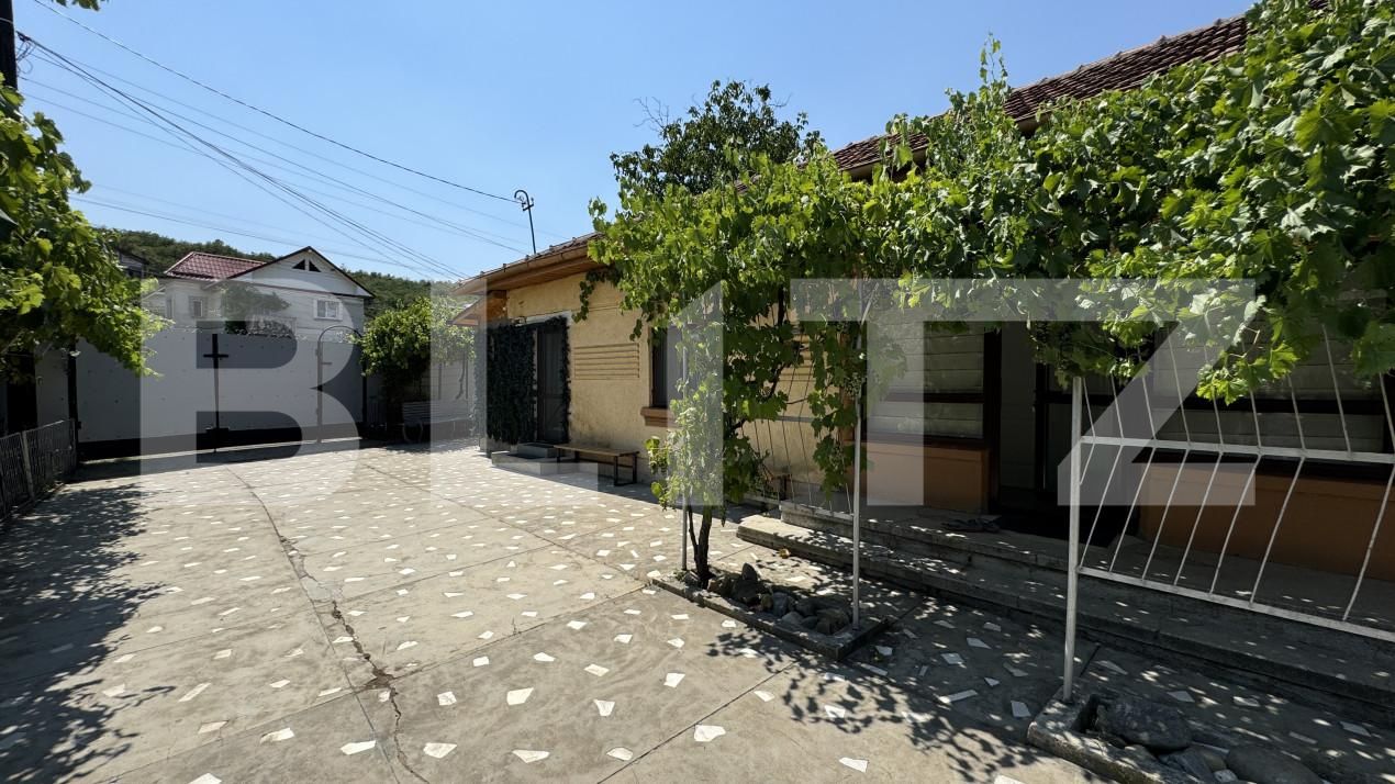 Casa de închiriat 8 camere Bucovat - 155604CI | BLITZ Craiova | Poza15