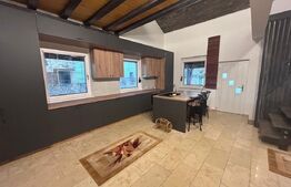 Casa cu 3 camere, curte 500 mp, zona Hanul cu Ponei