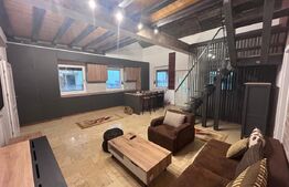Casa cu 3 camere, curte 500 mp, zona Hanul cu Ponei