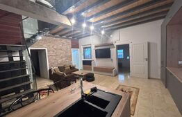 Casa cu 3 camere, curte 500 mp, zona Hanul cu Ponei