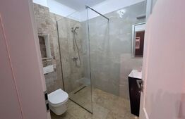 Casa cu 3 camere, curte 500 mp, zona Hanul cu Ponei