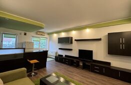 Garsonieră open space de 30 mp, renovată, Calea București 