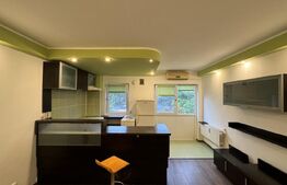 Garsonieră open space de 30 mp, renovată, Calea București 