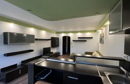 Garsonieră open space de 30 mp, renovată, Calea București 