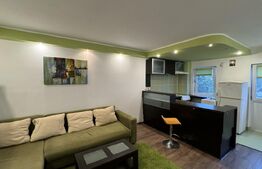 Garsonieră open space de 30 mp, renovată, Calea București 