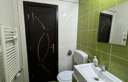 Garsonieră open space de 30 mp, renovată, Calea București 