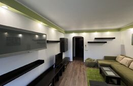 Garsonieră open space de 30 mp, renovată, Calea București 