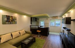 Garsonieră open space de 30 mp, renovată, Calea București 