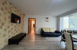 Apartament cu 3 camere, etaj 1, AC, Calea Severinului, zona Billa
