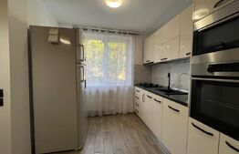Apartament cu 3 camere, etaj 1, AC, Calea Severinului, zona Billa