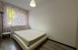 Apartament cu 3 camere, etaj 1, AC, Calea Severinului, zona Billa