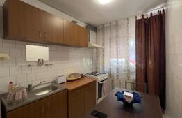 Apartament 2 camere, zona barzda, Big Family 
