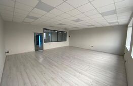 Spațiu birouri, 360 mp, curte și parcare privata, zona Calea Severinului