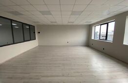 Spațiu birouri, 360 mp, curte și parcare privata, zona Calea Severinului