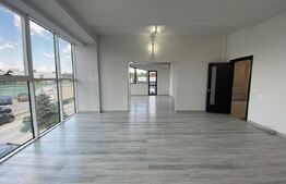Spațiu birouri, 360 mp, curte și parcare privata, zona Calea Severinului