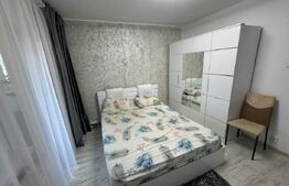 Apartament 4 camere decomandat Craiovita Noua  ,Zona  scoala 33