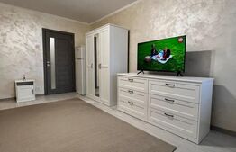 Garrsoniera Brazda lui Novac 30mp spatioasa, nou renovata