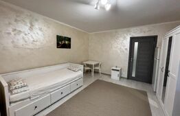 Garrsoniera Brazda lui Novac 30mp spatioasa, nou renovata