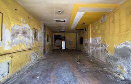 Casă S + P + E, 329 mp, cu spațiu comercial, teren 339 mp, zona Unirii