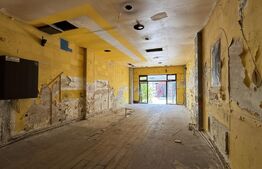 Casă S + P + E, 329 mp, cu spațiu comercial, teren 339 mp, zona Unirii