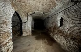 Casă S + P + E, 329 mp, cu spațiu comercial, teren 339 mp, zona Unirii