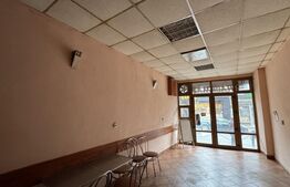 Casă S + P + E, 329 mp, cu spațiu comercial, teren 339 mp, zona Unirii