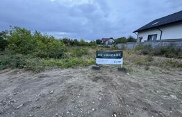 Teren intravilan Carcea Pelendava, 1000 mp cu autorizație de construcție