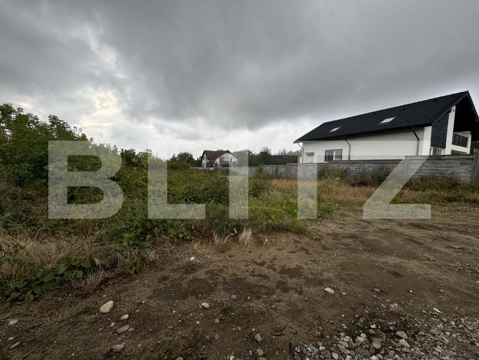 Teren de vânzare Carcea  - 156137TV | BLITZ Craiova | Poza6
