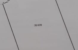 Teren, 500 mp, Mogosesti/Goiesti 