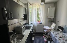 Apartament 2 camere zona Calea Bucuresti