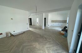 Duplex zona Ford/Ionumi P+1, 160 metri utili, 250 m teren