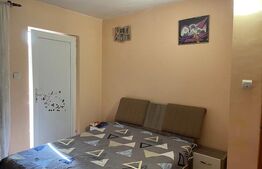 Casă P+1 cu toate utilitățile și teren de 303 mp, zona stadionului Ion Oblemenco