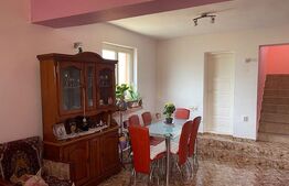 Casă P+1 cu toate utilitățile și teren de 303 mp, zona stadionului Ion Oblemenco