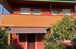 Casă P+1 cu toate utilitățile și teren de 303 mp, zona stadionului Ion Oblemenco