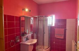 Casă P+1 cu toate utilitățile și teren de 303 mp, zona stadionului Ion Oblemenco